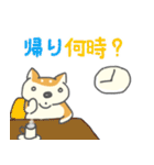 柴犬シバタロの日常（個別スタンプ：24）