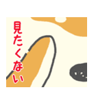 柴犬シバタロの日常（個別スタンプ：28）