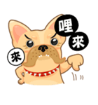 I'm Hoyo.（個別スタンプ：18）