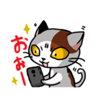 眉間猫（個別スタンプ：3）