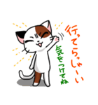 眉間猫（個別スタンプ：5）