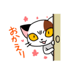 眉間猫（個別スタンプ：8）