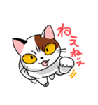 眉間猫（個別スタンプ：19）