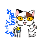 眉間猫（個別スタンプ：23）