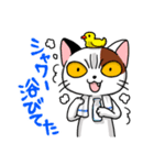 眉間猫（個別スタンプ：24）