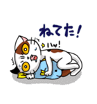 眉間猫（個別スタンプ：26）