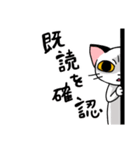 眉間猫（個別スタンプ：27）