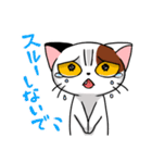 眉間猫（個別スタンプ：28）