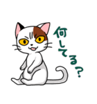 眉間猫（個別スタンプ：37）