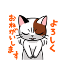 眉間猫（個別スタンプ：38）