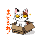 眉間猫（個別スタンプ：39）