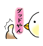 関西弁のピーちゃん（個別スタンプ：1）