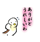 関西弁のピーちゃん（個別スタンプ：14）