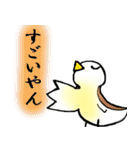 関西弁のピーちゃん（個別スタンプ：16）