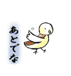 関西弁のピーちゃん（個別スタンプ：20）