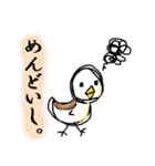 関西弁のピーちゃん（個別スタンプ：37）