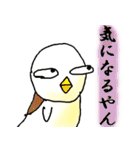 関西弁のピーちゃん（個別スタンプ：39）