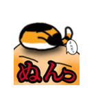 ふっちゃんとわさびの愉快な日常（個別スタンプ：12）