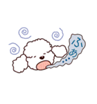 やんちゃ可愛いプードルたち（個別スタンプ：16）