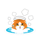Rookie Cat（個別スタンプ：2）