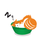 Rookie Cat（個別スタンプ：3）