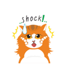 Rookie Cat（個別スタンプ：18）