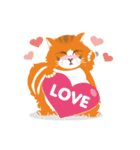 Rookie Cat（個別スタンプ：20）