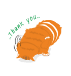 Rookie Cat（個別スタンプ：33）
