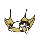 ミヤオさん（個別スタンプ：16）