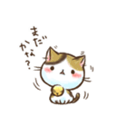 ねこずらし スタンプ（個別スタンプ：14）