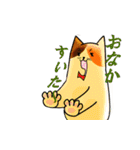 イケにゃん（個別スタンプ：21）