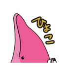 ピンクイルカくんの日常（個別スタンプ：23）