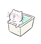 しわねこ（個別スタンプ：20）