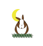 Habits of Rabbits（個別スタンプ：3）