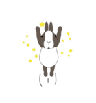 Habits of Rabbits（個別スタンプ：5）