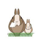 Habits of Rabbits（個別スタンプ：31）