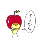 ぴよリンゴ（個別スタンプ：15）