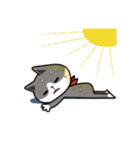 A Floating Life of Necoco（個別スタンプ：23）