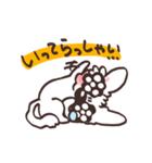 うるうるチワワ（あいさつ）（個別スタンプ：33）