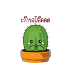 Smiley Cacti（個別スタンプ：5）