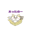 このねこひろってください（個別スタンプ：21）