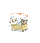 このねこひろってください（個別スタンプ：25）