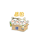 このねこひろってください（個別スタンプ：30）