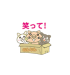 このねこひろってください（個別スタンプ：34）