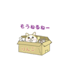 このねこひろってください（個別スタンプ：38）