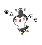 Sumo Birdy and Chick [Chinese]（個別スタンプ：1）