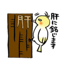 謝罪インコ（個別スタンプ：12）