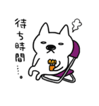 ダーツ犬のスタンプ（個別スタンプ：33）