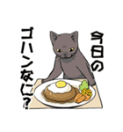 猫又の「何食べたい？」スタンプ（個別スタンプ：2）