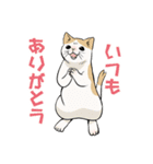 猫又の「何食べたい？」スタンプ（個別スタンプ：40）